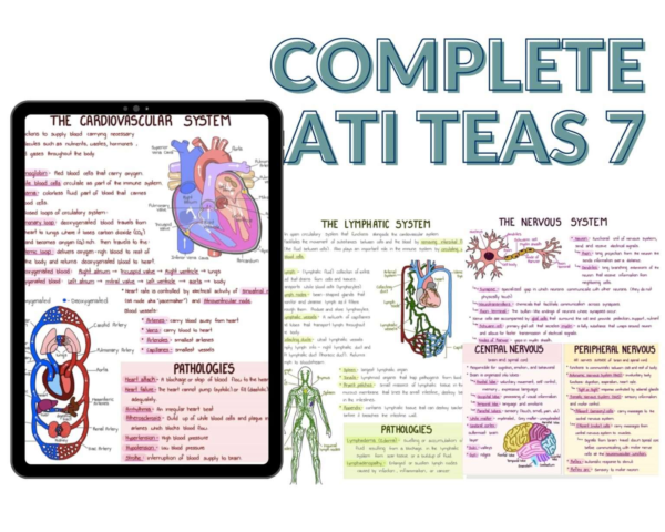 Ati Teas 7 Study Guide – Teas 7 Exam Preparation 2024