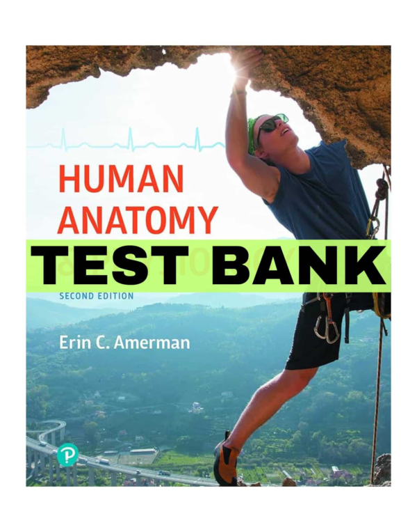 Test Bank For Human Anatomy And Physiology 2nd Edition By Amerman